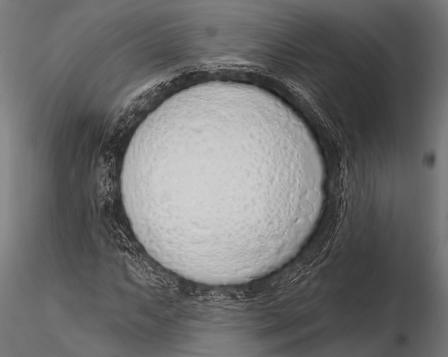 X0000116111063200912141015