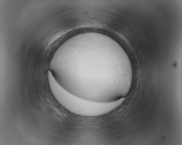 X0000116111064200912141015