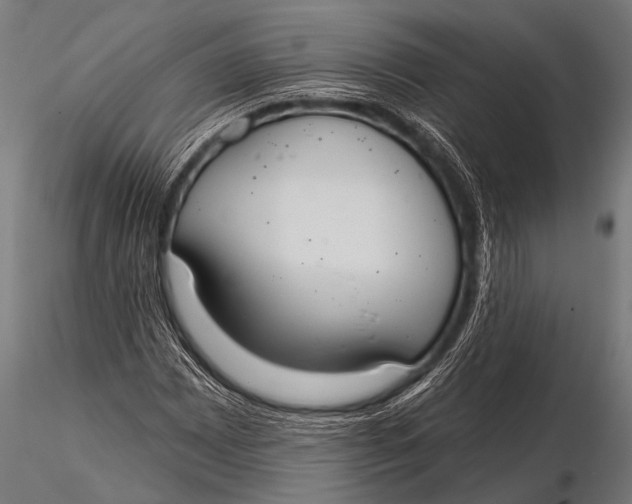 X0000116111065200912141015