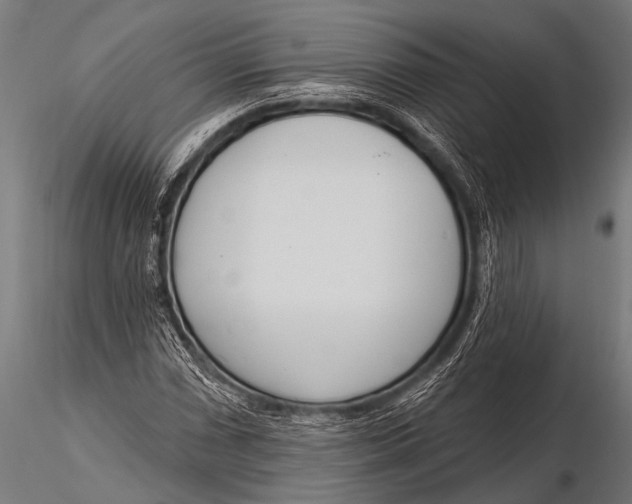 X0000116111066200912141015