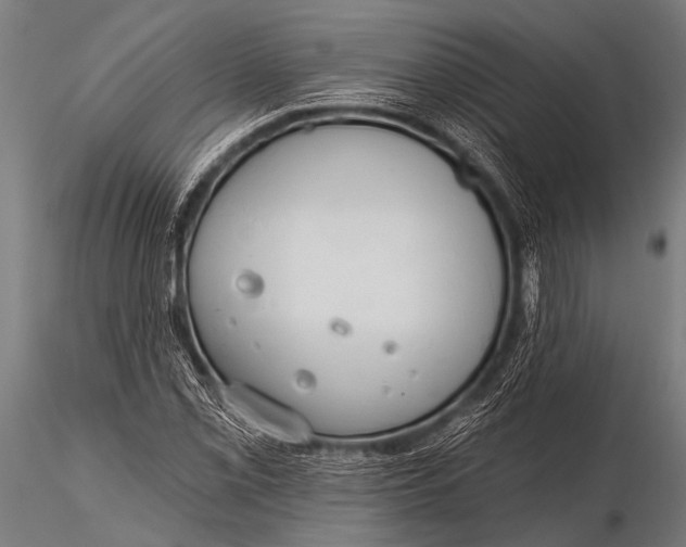 X0000116111069200912141015