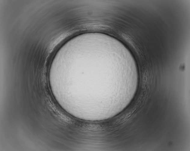 X0000116111071200912141015