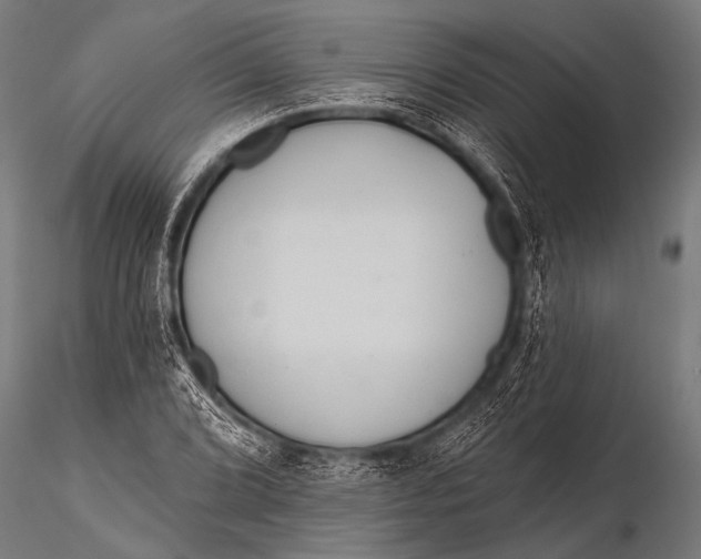 X0000116111072200912141015