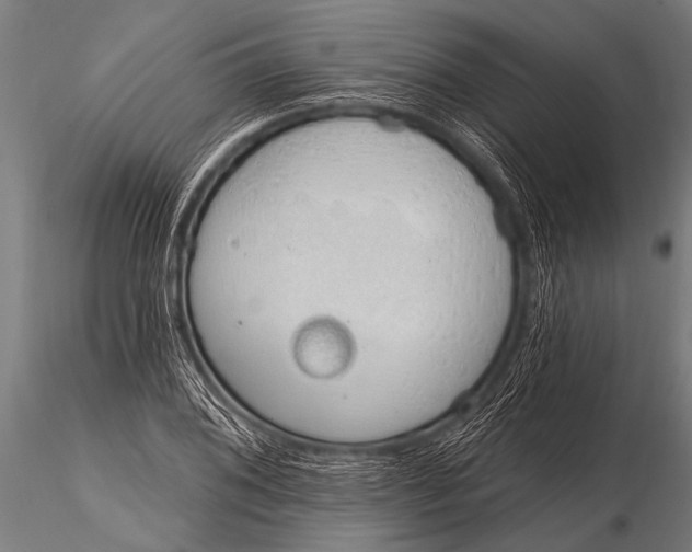 X0000116111076200912141015