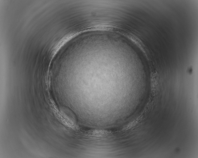 X0000116111077200912141015