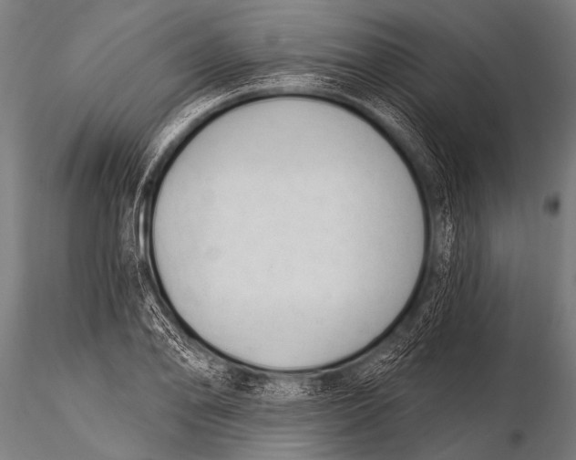 X0000116111078200912141015