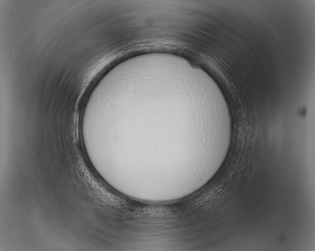 X0000116111079200912141015