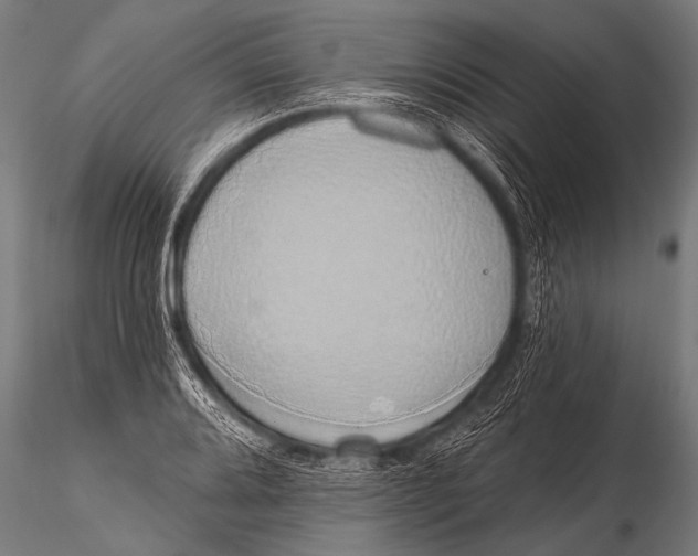 X0000116111080200912141015