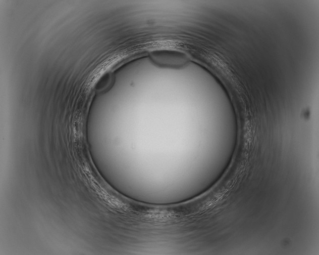 X0000116111081200912141015