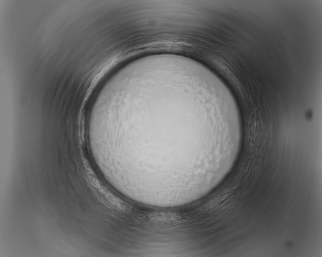 X0000116111083200912141015