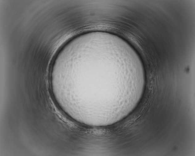 X0000116111087200912141015