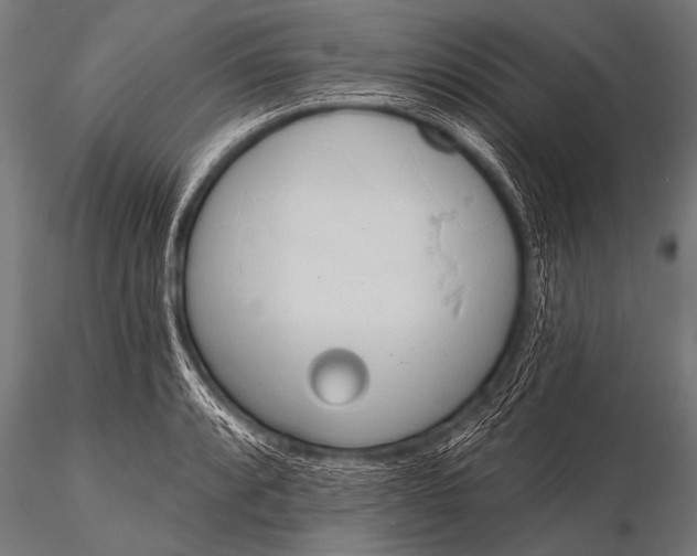 X0000116111088200912141014