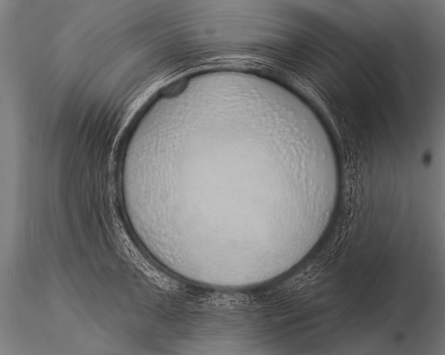 X0000116111091200912141014