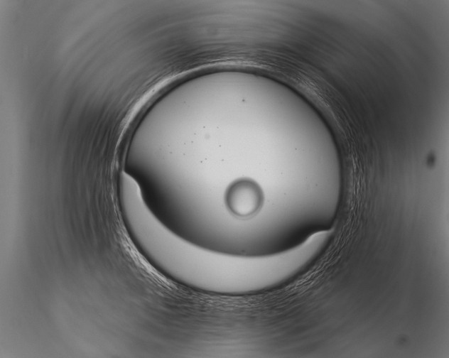 X0000116111092200912141014