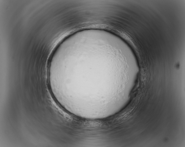 X0000116111095200912141014