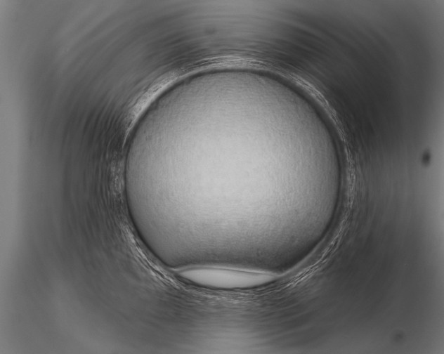 X0000116111097200912141014