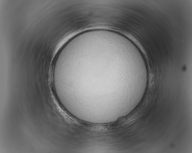 X0000116111101200912141014