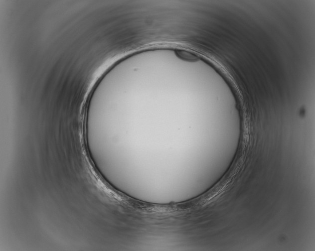 X0000116111102200912141014