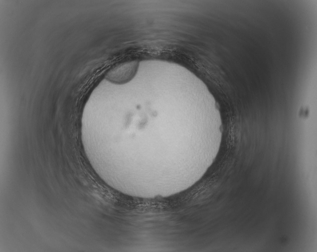 X0000116111105200912141013