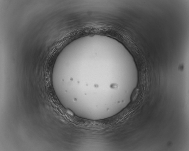 X0000116111109200912141013