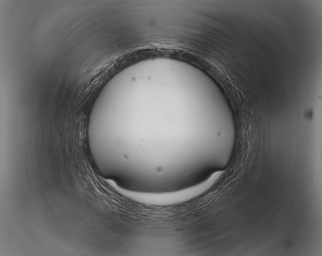 X0000116111110200912141014