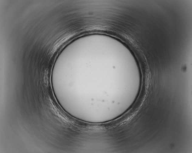 X0000116111113200912141014