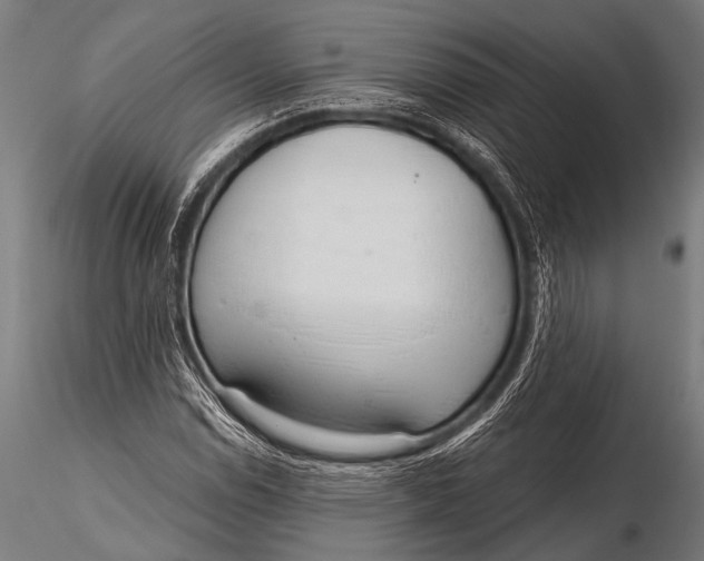 X0000116111114200912141014