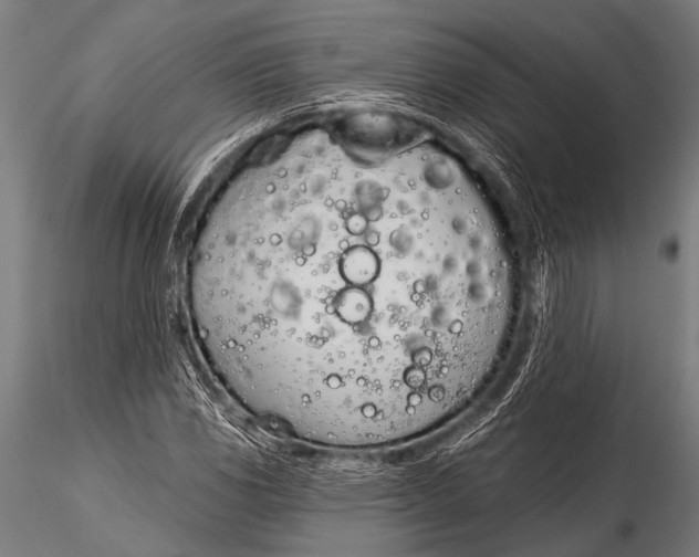 X0000116111117200912141014