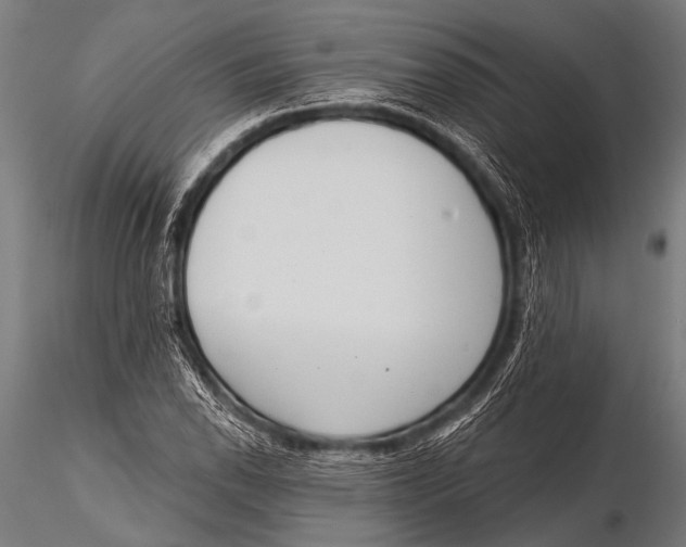 X0000116111118200912141014