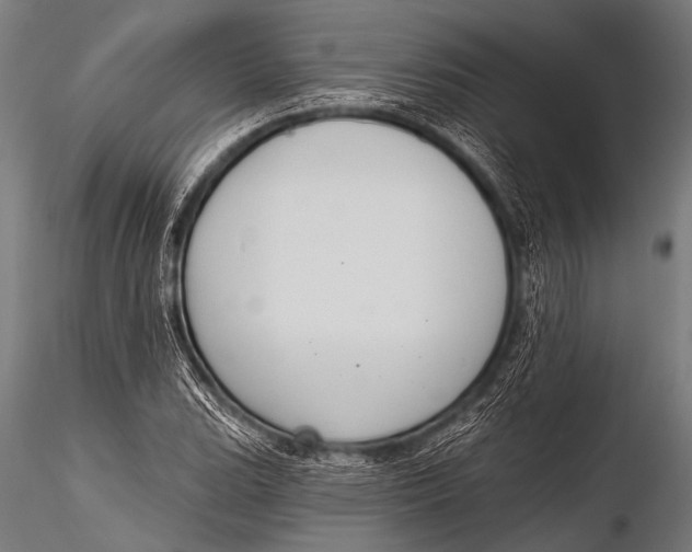 X0000116111119200912141014