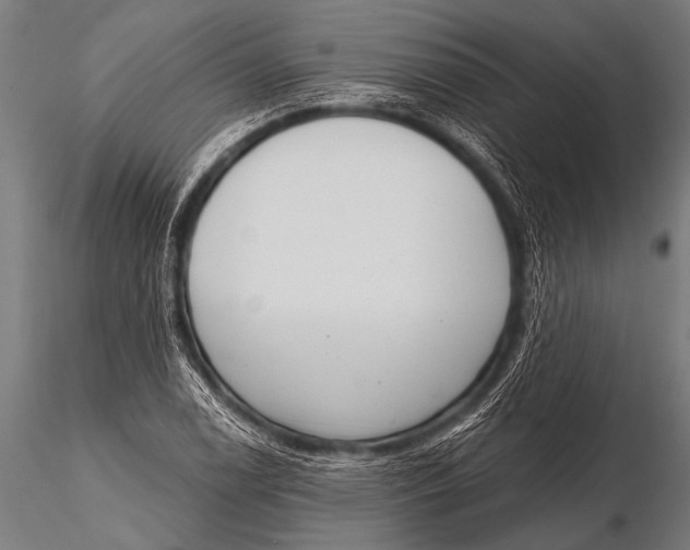 X0000116111122200912141014