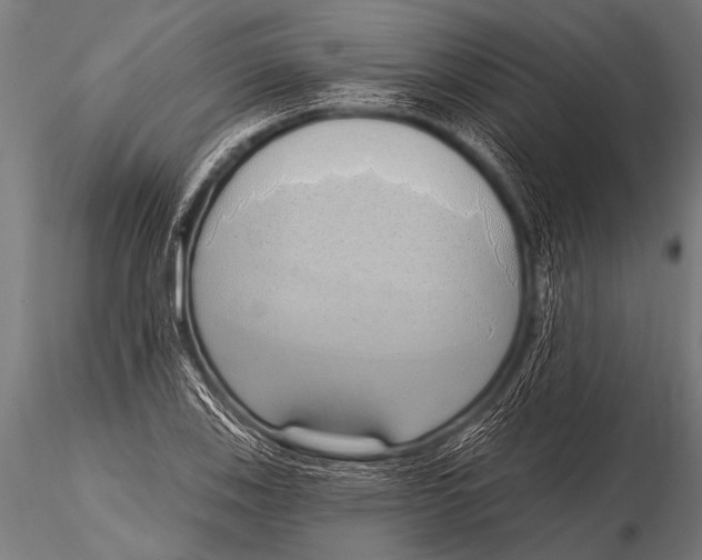 X0000116111123200912141014