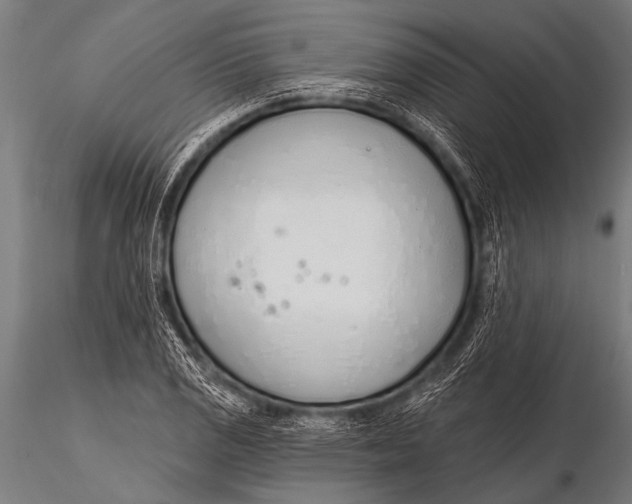 X0000116111125200912141014