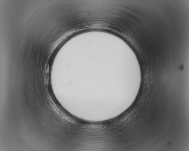 X0000116111126200912141014