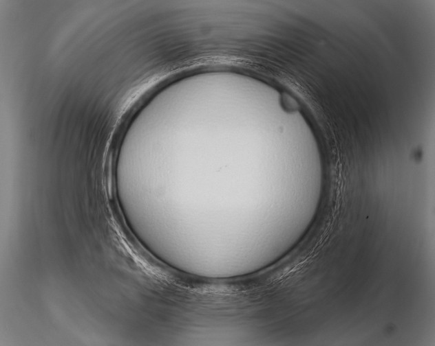 X0000116111127200912141014