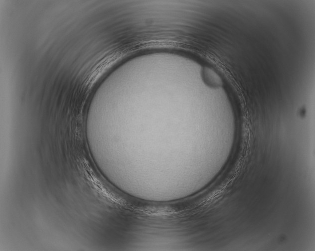 X0000116111129200912141014