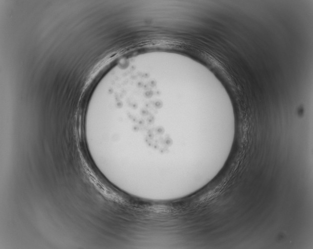 X0000116111130200912141014