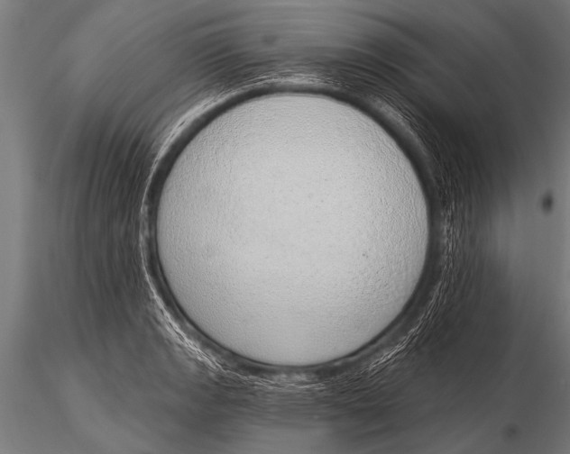 X0000116111133200912141014