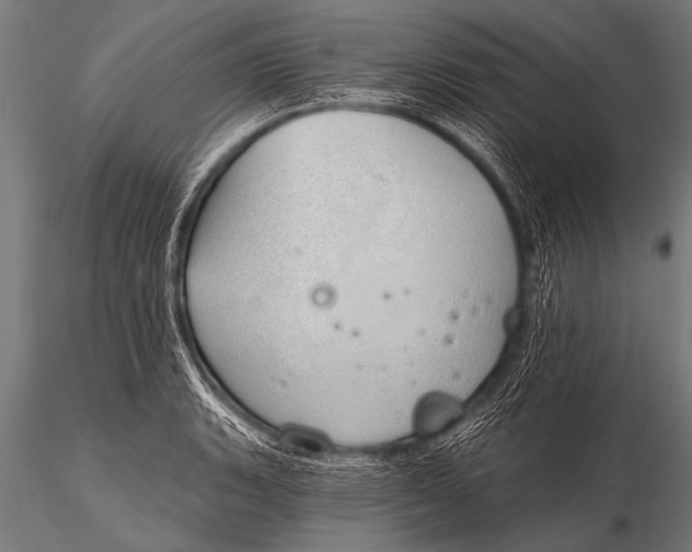 X0000116111135200912141014