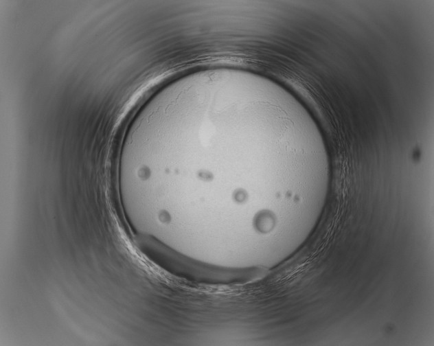 X0000116111139200912141014