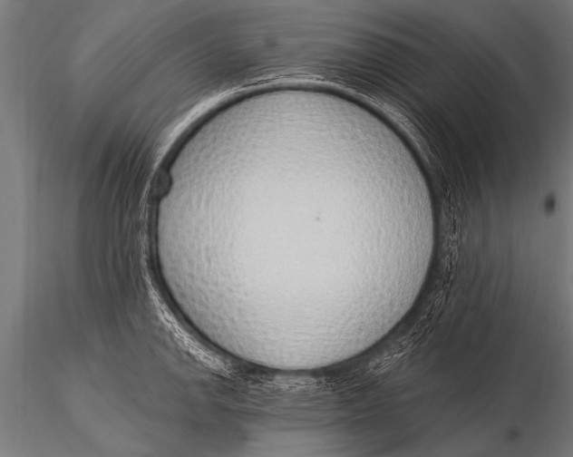 X0000116111142200912141014