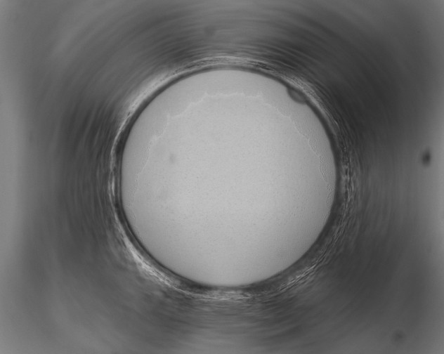 X0000116111143200912141014