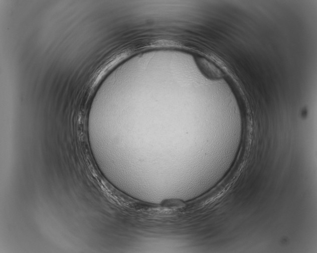 X0000116111145200912141014