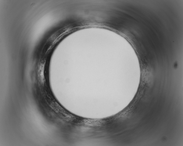 X0000116111150200912141014