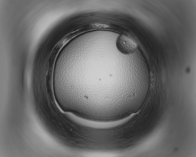 X0000116111151200912141014