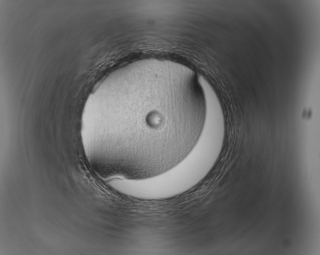 X0000116111153200912141013