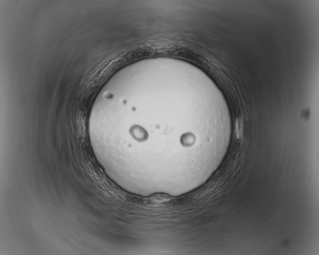 X0000116111155200912141013