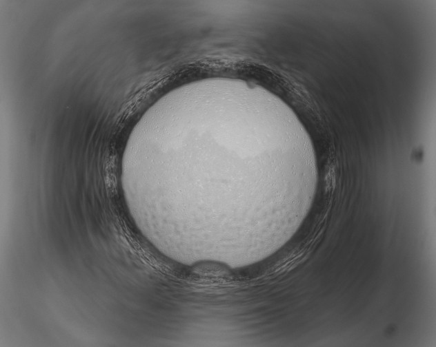 X0000116111156200912141013