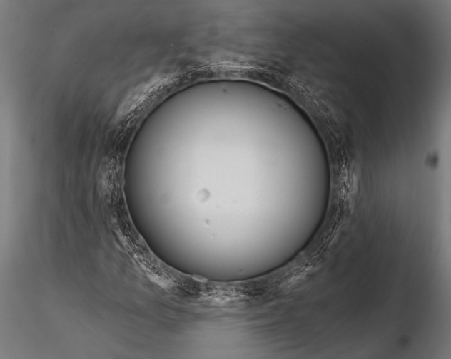 X0000116111157200912141013