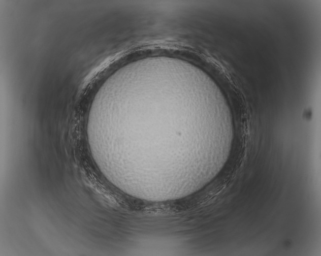 X0000116111159200912141013